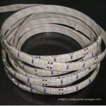 New 144watt Outdoor IP65 SMD 5630 LED Strip Light in Warm White Cool White